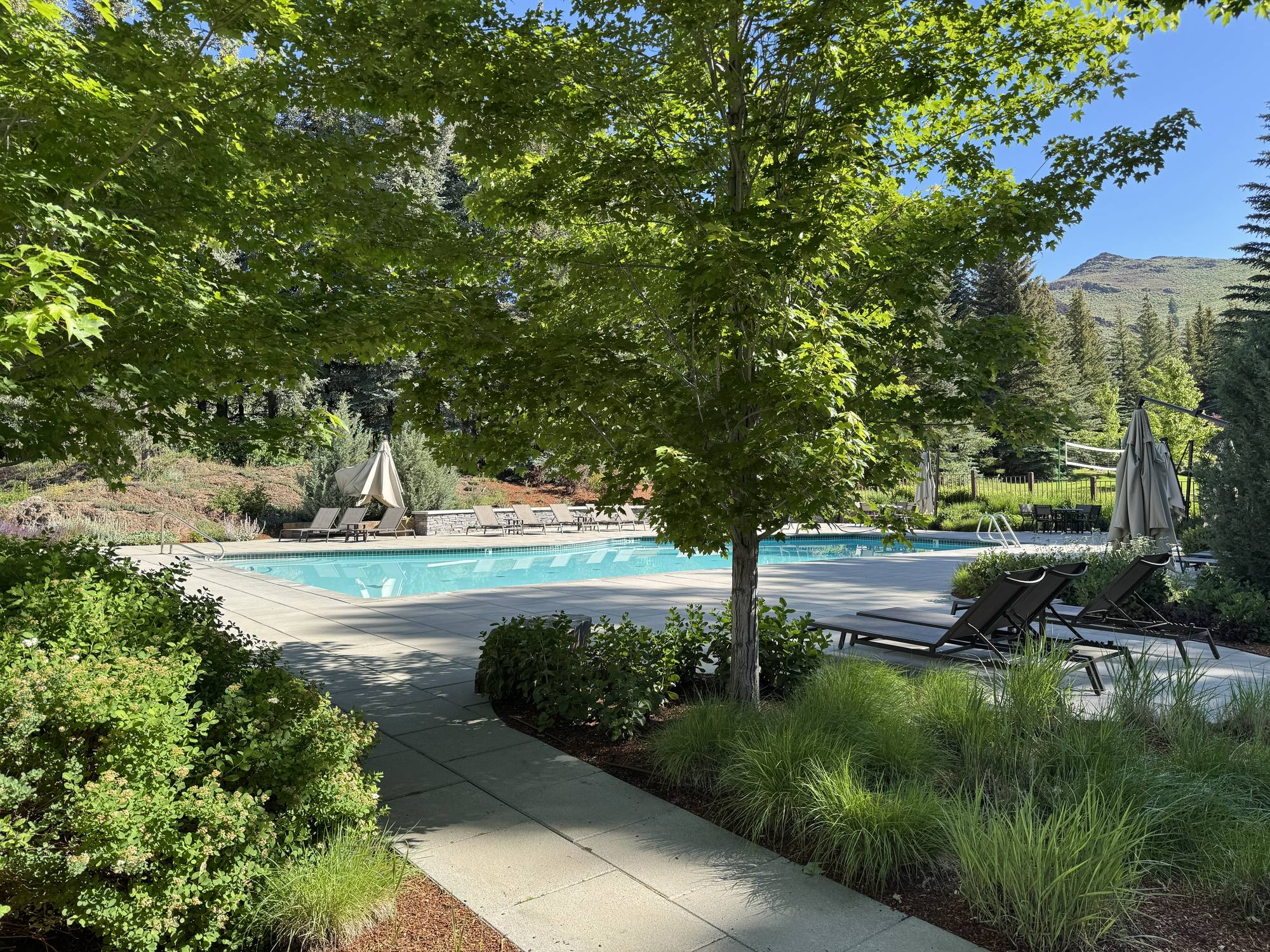 Lane Ranch pool and grounds